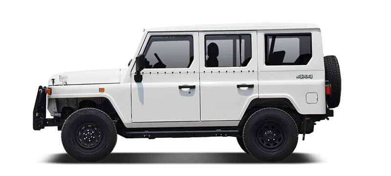 selected car with color image